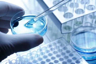 中國干細胞公司排名前十名 引領細胞技術研發與應用的創新力量