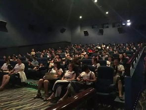 人在險(xiǎn)途——鄭州財(cái)富區(qū)客戶服務(wù)節(jié)觀影活動市場營銷策劃